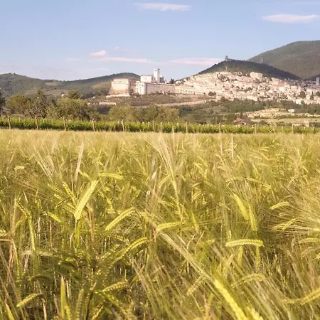Domus Benedicta Bed & Breakfast Assisi